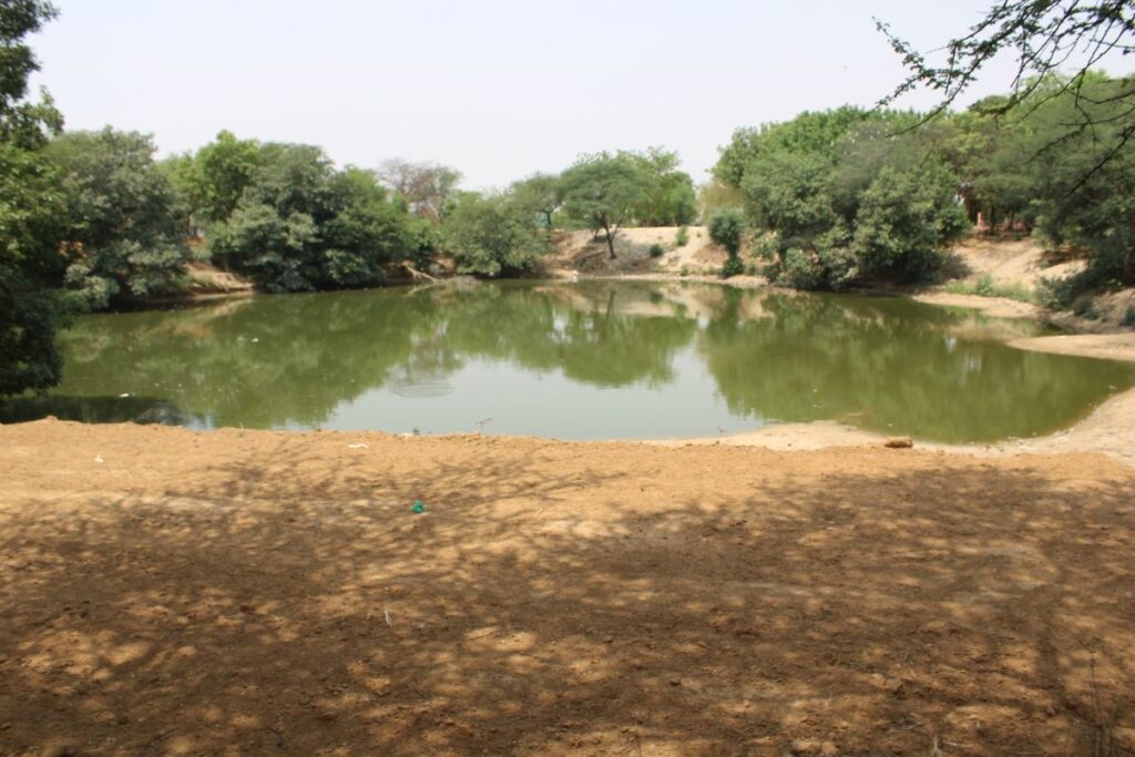 World Environment Day 5 June 2024